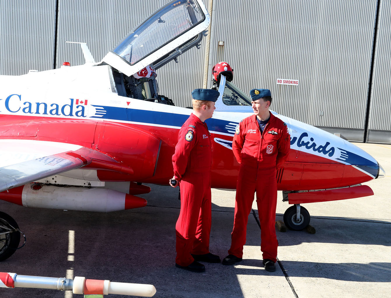 SNOWBIRDS